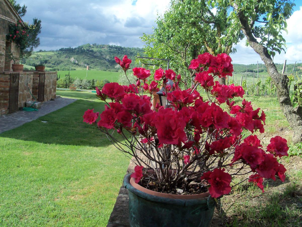Agriturismo Santa Maria Pienza Buitenkant foto