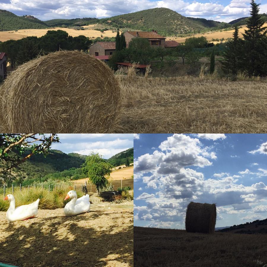 Agriturismo Santa Maria Pienza Buitenkant foto